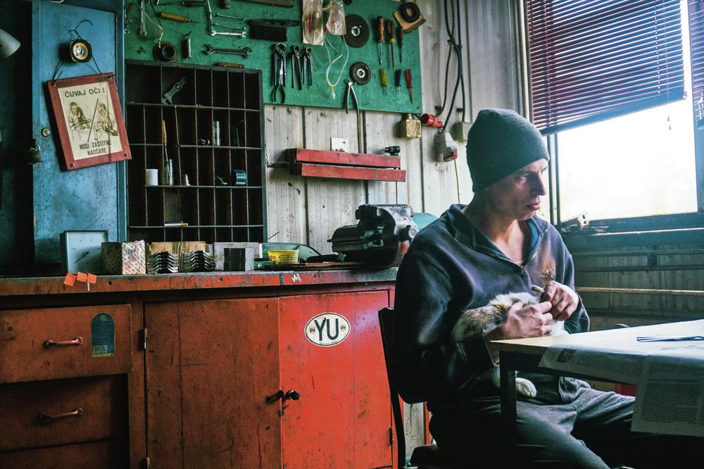 2186367 foto fireflaj 1 ff 0a9c5